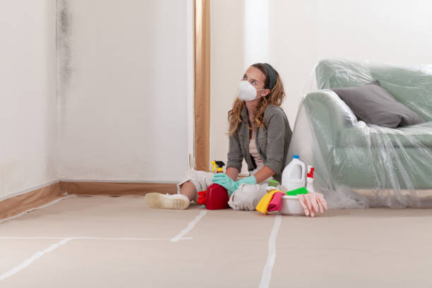 Reliable Mold Remediation contractor in New York, NY by 24 Hour Mold Removal